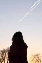 Up in the Air / ***