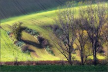 Somewhere in the fields of Moravia / ***