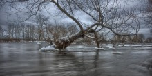 Britannia , across the Mud Lake / Britannia , across the Mud Lake