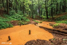 Creek after heavy rain / ***