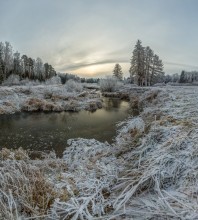 Frost on the grass. / ***