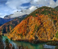 Autumn forest on the mountain slopes. / ***