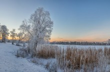 Winter view. / ***