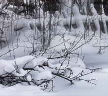 Winter, snow, fence ... / ***