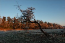 ... Lonely, in the valley of ... / ***