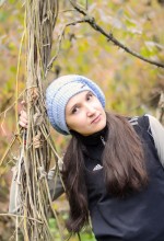 Autumn in the forest / ***