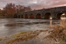 Under the bridge / ***