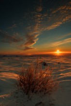 Chukotka / ***