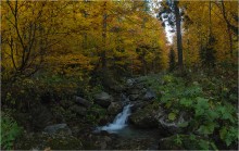 &nbsp; / ...............