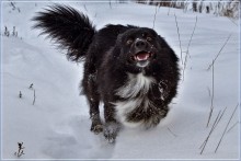 Running / ***