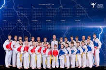 Section Taekwondo / ***