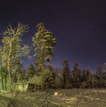 At the edge of the night. / ***