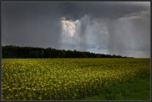 Bad weather / ***