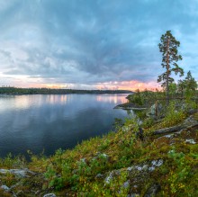 Ladoga bays. / ***