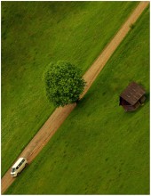 Car, tree and Shed / ***
