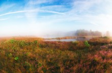 Summer misty morning / ***