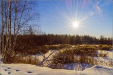 Christmas sun / ***