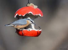 Stop a moment. / ***