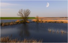 Fishing under the moon / Fishing under the moon