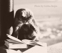 Book-kote best friend / :):):):):)