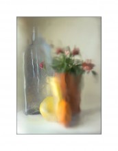 Fabrications about roses and citrus. / ***