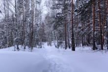 Russian winter! / ***