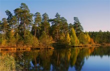 Colors of autumn / ***