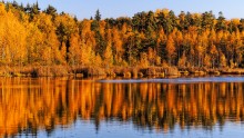 Autumn Beach / ***