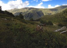 On the hillside / ***
