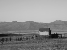 Friday in the toilet / ***