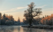 ... Frosty morning ... / ***