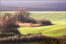 South Moravia / ***