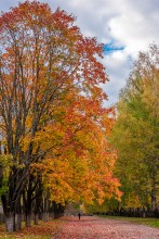 About autumn and loneliness ... / ***