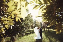 wedding / ***