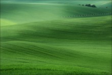 / 50 shades of green / / [img]http://35photo.ru/photos_series/658/658512.jpg[/img]
[img]http://35photo.ru/photos_series/658/658513.jpg[/img]
