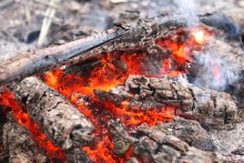 Warm winter fire / ***