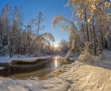 To catch the winter sun. / ***