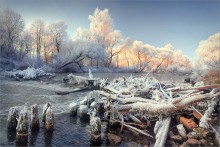 Winter freshness / ***