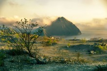 Fog / ***