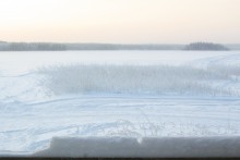 Winter / ***