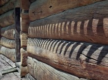Warm wood / ***
