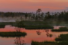 Midnight Sun of Karelia / ***