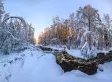 After a snowfall. / ***