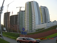 then the birds do not sing, the trees do not grow and we only wall to grow in the ground here / ***