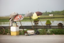 Under the umbrella / ***