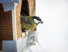 Ready for takeoff / ***