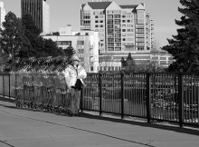 Whether a woman, or vision / ***