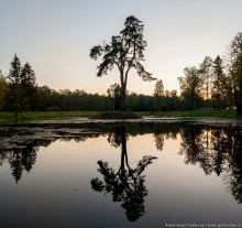 Prisoner of the old lake / ***