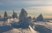 Snowy kingdom ... / -----