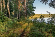 In August, in the north of Omsk region ... / 2014